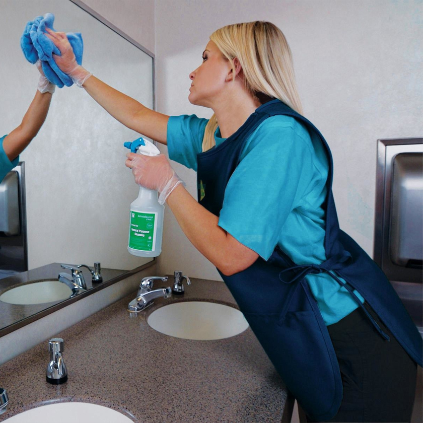 Navigating the Maze of Cleaning Products – MDS Clean Team